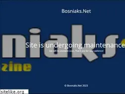 Sites similar to bosniaks.net