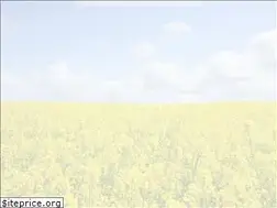 Sites similar to boso-computer.net