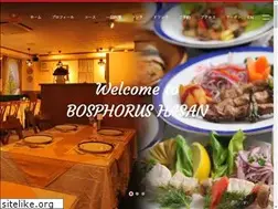 Sites similar to bosphorushasan.com