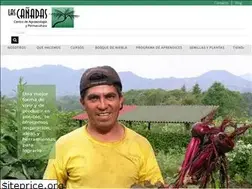 Sites similar to bosquedeniebla.com.mx