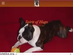 Sites similar to boston-hugo.de