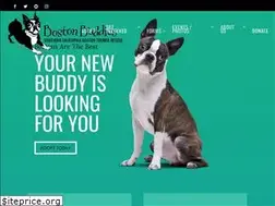 Sites similar to bostonbuddies.org