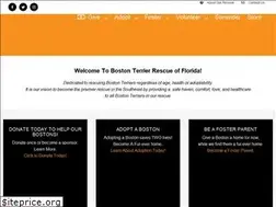 Sites similar to bostonrescueflorida.org