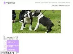 Sites similar to bostonterriers-motocoland.jp