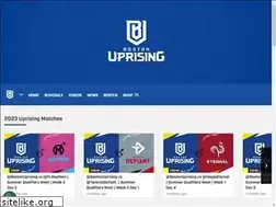 Sites similar to bostonuprising.com