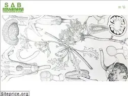 Sites similar to botanicaargentina.org.ar