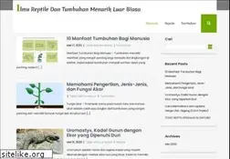 Sites similar to botanicayoruba7.com