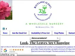 Sites similar to botanicohq.com