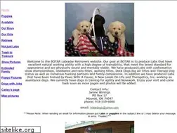 Sites similar to botardogs.com