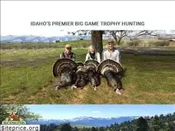 Sites similar to bouldercreekoutfitters.com