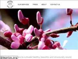 Sites similar to bouldertreecare.com