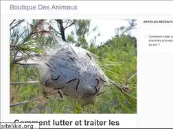 Sites similar to boutique-des-animaux.com