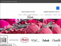 Sites similar to boutiquecanicule.ca