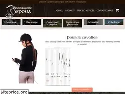 Sites similar to boutiqueequestreepona.com