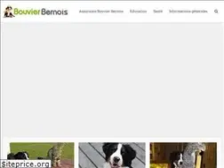 Sites similar to bouvier-bernois.com