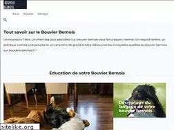 Sites similar to bouviers-bernois.fr