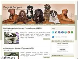 Sites similar to bowbowbow.com