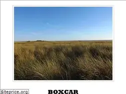 Sites similar to boxcarpoetry.com