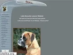 Sites similar to boxer-vom-dronsberg.de