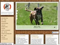 Sites similar to boxerinnot.de