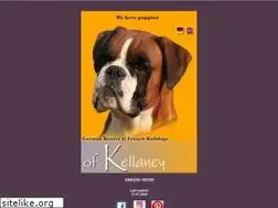 Sites similar to boxerkellaney.com