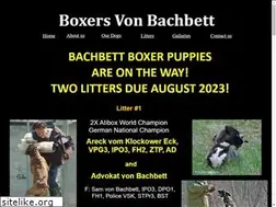 Sites similar to boxersvonbachbett.com