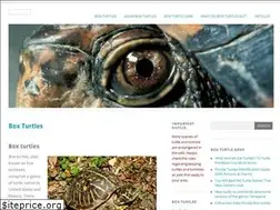 Sites similar to boxturtles.com