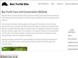 Sites similar to boxturtlesite.info