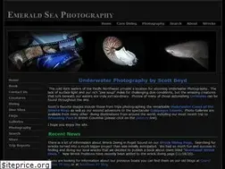 Sites similar to boydski.com