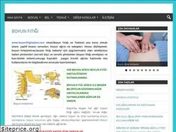 Sites similar to boyunfitigitedavi.com