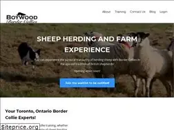 Sites similar to boywoodbordercollies.com