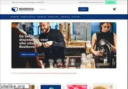 Sites similar to bozikova.nl