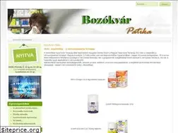 Sites similar to bozokvar-patika.hu