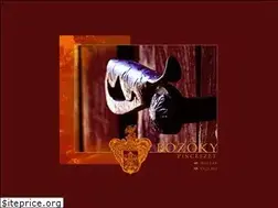 Sites similar to bozoky-pinceszet.hu