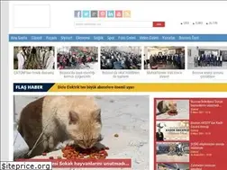 Sites similar to bozovaninsesigazetesi.com