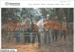 Sites similar to bozovich.com