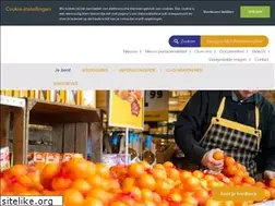 Sites similar to bpfl.nl