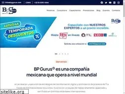 Sites similar to bpgurus.com
