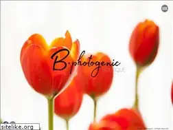 Sites similar to bphotogenic.com