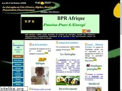 Sites similar to bpr-afrique.com