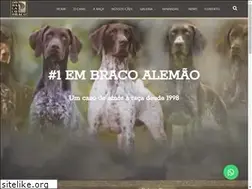 Sites similar to bracoalemao.com.br
