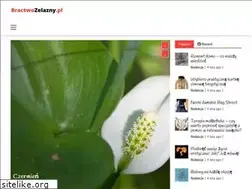 Sites similar to bractwozelazny.pl