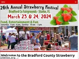 Sites similar to bradfordcountystrawberryfestival.com