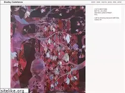 Sites similar to bradleycastellanos.com