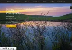 Sites similar to bradmangas.com