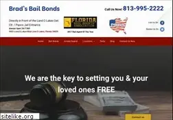 Sites similar to bradsbailbonds.com