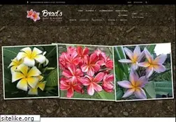 Sites similar to bradsbudsandblooms.com