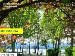 Sites similar to bradsdadsland.com
