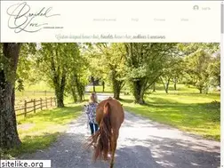 Sites similar to braidedlovebywendaboyer.com