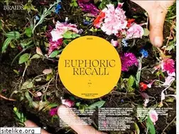 Sites similar to braidsmusic.com
